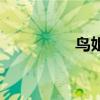 鳥姐（關于鳥姐的介紹）