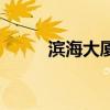 濱海大廈（關于濱海大廈的介紹）