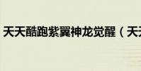 天天酷跑紫翼神龍覺醒(天天酷跑紫翼神龍)