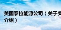 美國泰拉能源公司(關于美國泰拉能源公司的介紹)