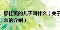 穆桂英的兒子叫什么(關于穆桂英的兒子叫什么的介紹)