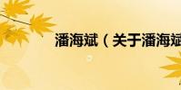 潘海斌(關于潘海斌的介紹)