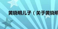 黃曉明兒子(關于黃曉明兒子的介紹)