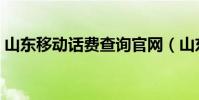 山東移動話費查詢官網(山東移動話費查詢)