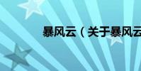暴風云(關于暴風云的介紹)