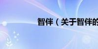 智伴(關于智伴的介紹)