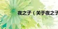 夜之子(關于夜之子的介紹)