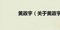 黃政宇(關于黃政宇的介紹)