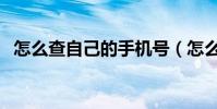 怎么查自己的手機號(怎么查自己的網速)