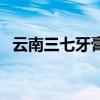 云南三七牙膏（關于云南三七牙膏的介紹）