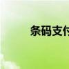 條碼支付（關于條碼支付的介紹）
