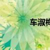 車淑梅（關于車淑梅的介紹）