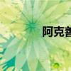 阿克善（關于阿克善的介紹）