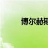 博爾赫斯（關于博爾赫斯的介紹）