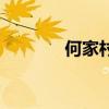 何家村（關于何家村的介紹）