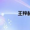 王梓赫（關于王梓赫的介紹）