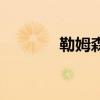 勒姆森（關于勒姆森的介紹）