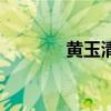 黃玉清（關于黃玉清的介紹）