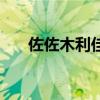 佐佐木利佳（關于佐佐木利佳的介紹）