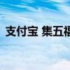 支付寶 集五福（關于支付寶 集五福的介紹）