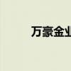 萬豪金業（關于萬豪金業的介紹）