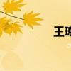 王璁（關于王璁的介紹）