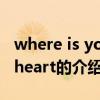 where is your heart（關于where is your heart的介紹）