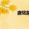唐銘陽（關于唐銘陽的介紹）
