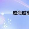 威海威高（關于威海威高的介紹）