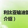 利比亞輸油管爆炸（關于利比亞輸油管爆炸的介紹）