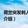荷蘭突發刺人事件（關于荷蘭突發刺人事件的介紹）