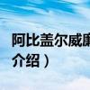 阿比蓋爾威廉姆斯（關于阿比蓋爾威廉姆斯的介紹）