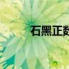 石黑正數（關于石黑正數的介紹）