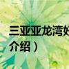 三亞亞龍灣好玩嗎（關于三亞亞龍灣好玩嗎的介紹）