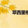 翠西里根（關于翠西里根的介紹）