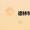 德林特（關于德林特的介紹）