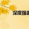深度強襲（關于深度強襲的介紹）