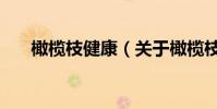 橄欖枝健康(關于橄欖枝健康的介紹)