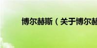 博爾赫斯(關于博爾赫斯的介紹)