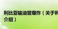 利比亞輸油管爆炸(關于利比亞輸油管爆炸的介紹)