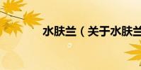 水膚蘭(關于水膚蘭的介紹)