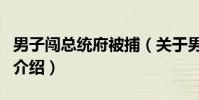 男子闖總統府被捕(關于男子闖總統府被捕的介紹)