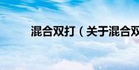 混合雙打(關于混合雙打的介紹)