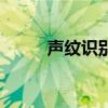 聲紋識別（關于聲紋識別的介紹）