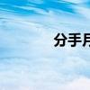 分手月（關于分手月的介紹）