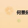 何景揚（關于何景揚的介紹）