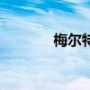 梅爾特（關于梅爾特的介紹）
