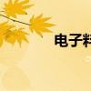 電子料（關于電子料的介紹）