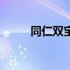 同仁雙寶（關于同仁雙寶的介紹）