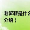 老爹鞋是什么意思（關于老爹鞋是什么意思的介紹）